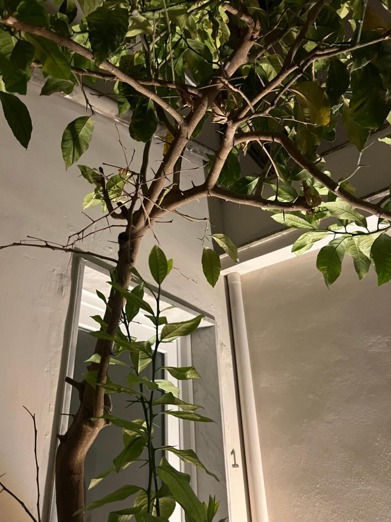 Vico Ventitre 1 Apartment Noto Bagian luar foto